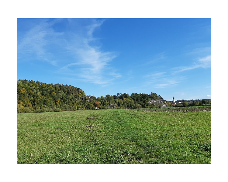 Im Herbst 2019 (8)